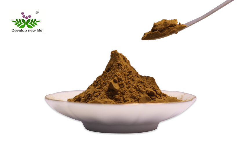 Butcher'S Broom Extract Powder
